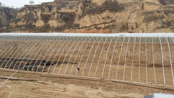 河南日光溫室建造工程與邯鄲日光溫室建造廠家 高效設(shè)施農(nóng)業(yè)的施工實(shí)踐